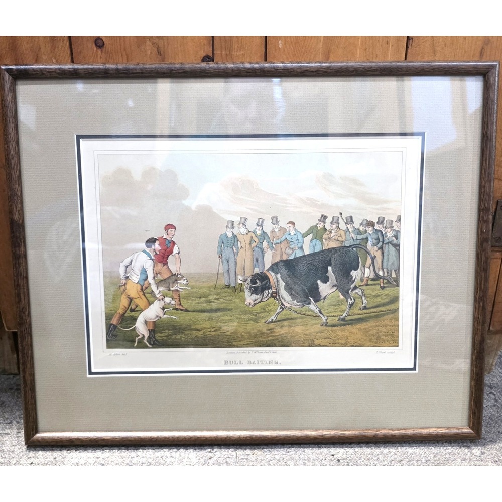 Henry Alken Bull Baiting Antique 1820 Hand Colored Aquatint I Clark Framed Print